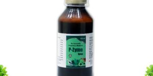 P Zyme Syrup
