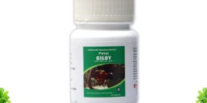 Petal Giloy Capsules