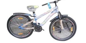 Fancy Kids Bicycle