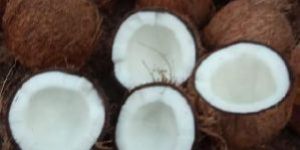 Brown Coconut