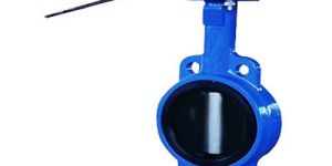 Rubber Butterfly Valves