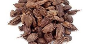 Black Cardamom