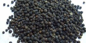 Black Pepper