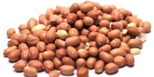 Raw Peanut