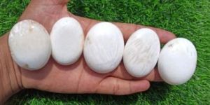 Scolecite Palm Stone