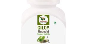 Giloy Capsules