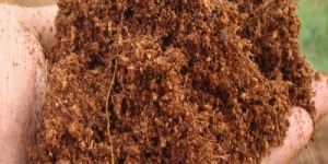 Plant Option Loose Coco Peat in Bulk