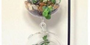 Hanging Glass Terrarium