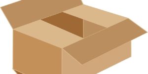 Regular Slotted Container Box