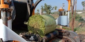 NutriRich Silage - Small Bales Corn Silage