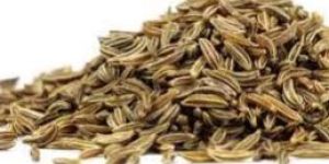 Cumin Seeds