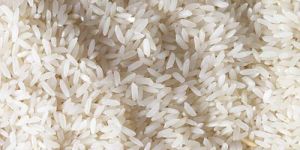 Raw Sona Masoori Non Basmati Rice