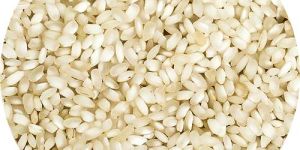 Non Basmati Rice