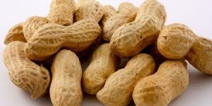 Shelled Peanuts