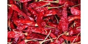 341 Red Chilli