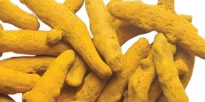 Turmeric Finger