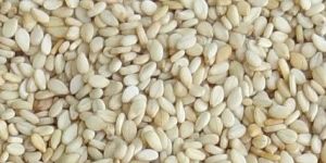 White Sesame Seeds