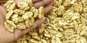 Alamdar Kashmiri Snow White Walnut Kernels