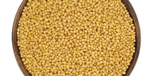 Yellow Mustard Seeds