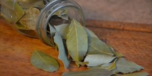 Dried Bay Leaves