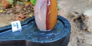 Ardhnarishwar Shivlingm