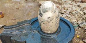 Narmada Shiva Lingam