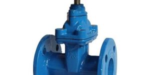 Cast Iron Valve