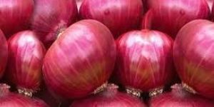 Fresh Red Onion