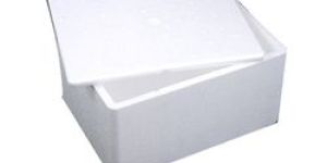 Thermocol Buffer Box