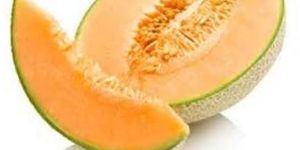 Muskmelon