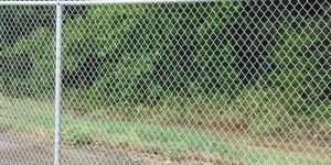 Chain Link Fence