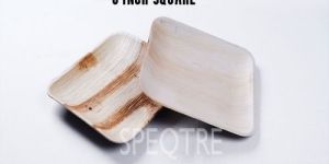 Square Areca Leaf Plate