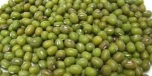 Green Mung Bean