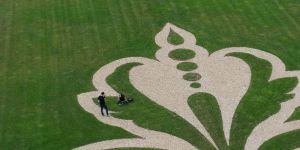 Commercial Landscaping Services