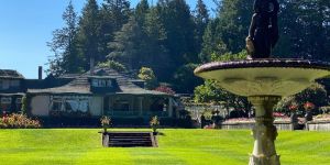 Lawn Development Services