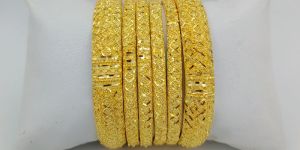 6 PC Forming Bangles 12