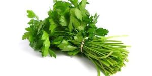 Fresh Coriander Leaves