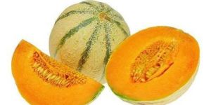 Fresh Muskmelon