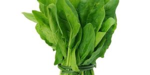 Fresh Spinach