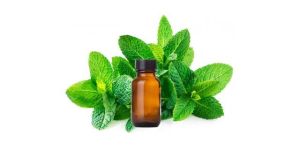 Spearmint Oil
