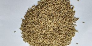 Cumin Seeds