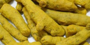 Turmeric