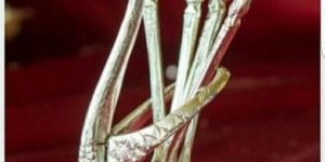 Silver Plated Cutlery