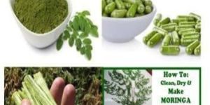 Moringa Powder