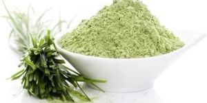 Wheat Grass Powder