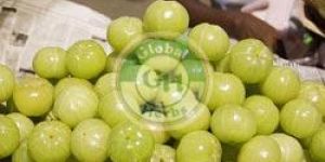 Indian Gooseberry