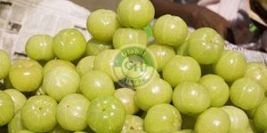 Amla