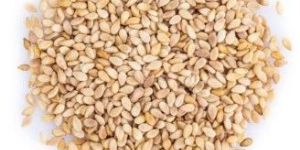 Sesame Seeds