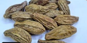 Terminalia Chebula Harad Seeds