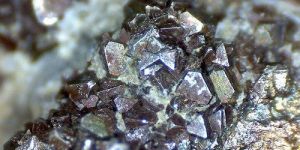 Crystal Carbolic Acid